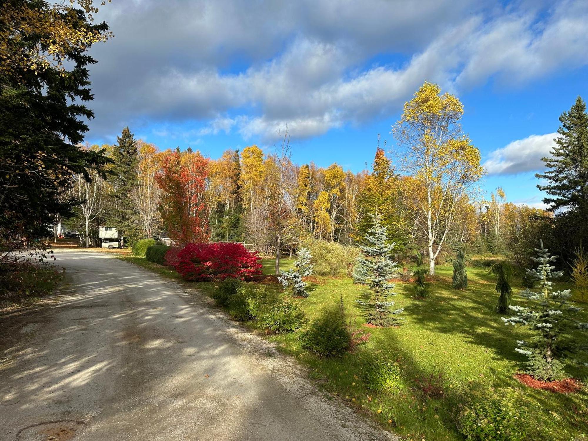 Eden Estate B&B Reidville Dış mekan fotoğraf