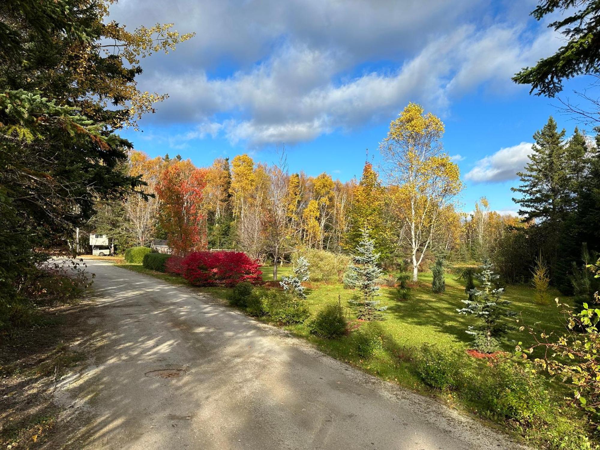 Eden Estate B&B Reidville Dış mekan fotoğraf